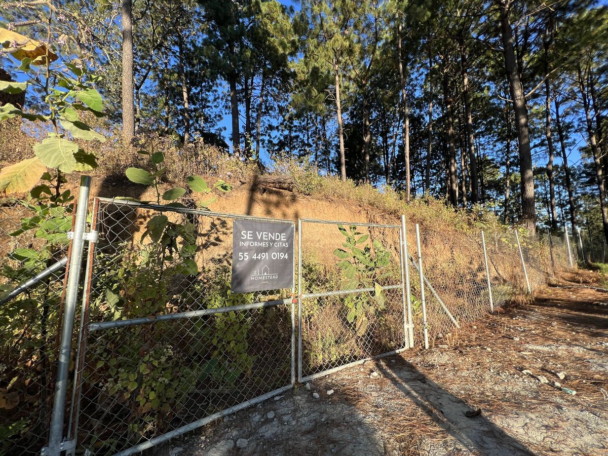 Top of the Hill Cerro Gordo
