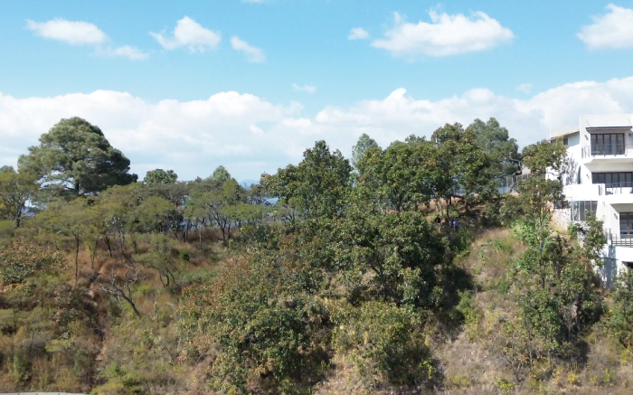 Terrenos en el Santuario