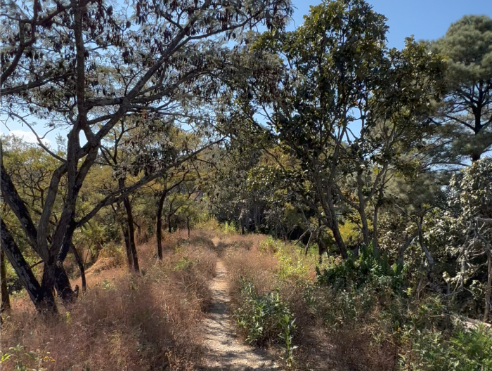 Terrenos en el Santuario