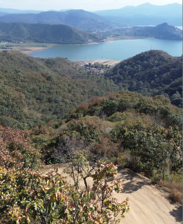 Terrenos en el Santuario