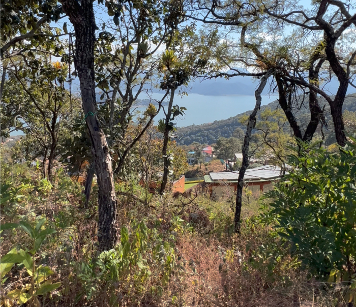 Terrenos en el Santuario