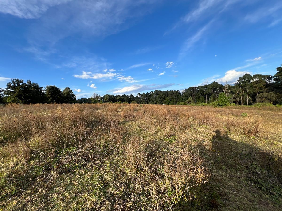 Terreno 6 ha Cerro Gordo