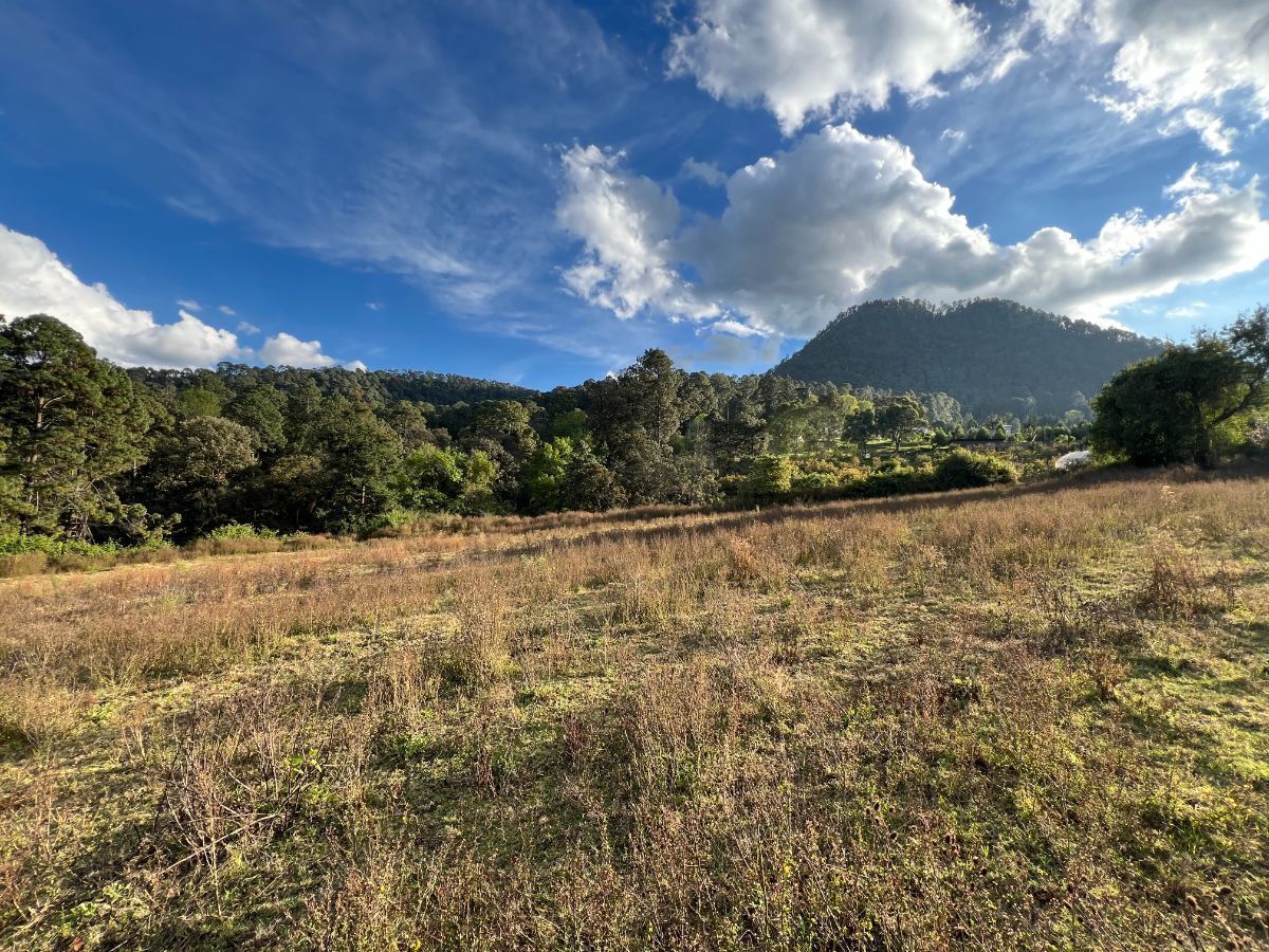 Terreno 6 ha Cerro Gordo