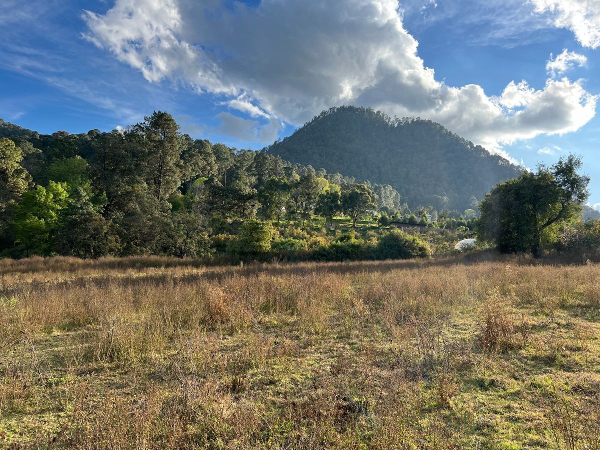 Terreno 6 ha Cerro Gordo