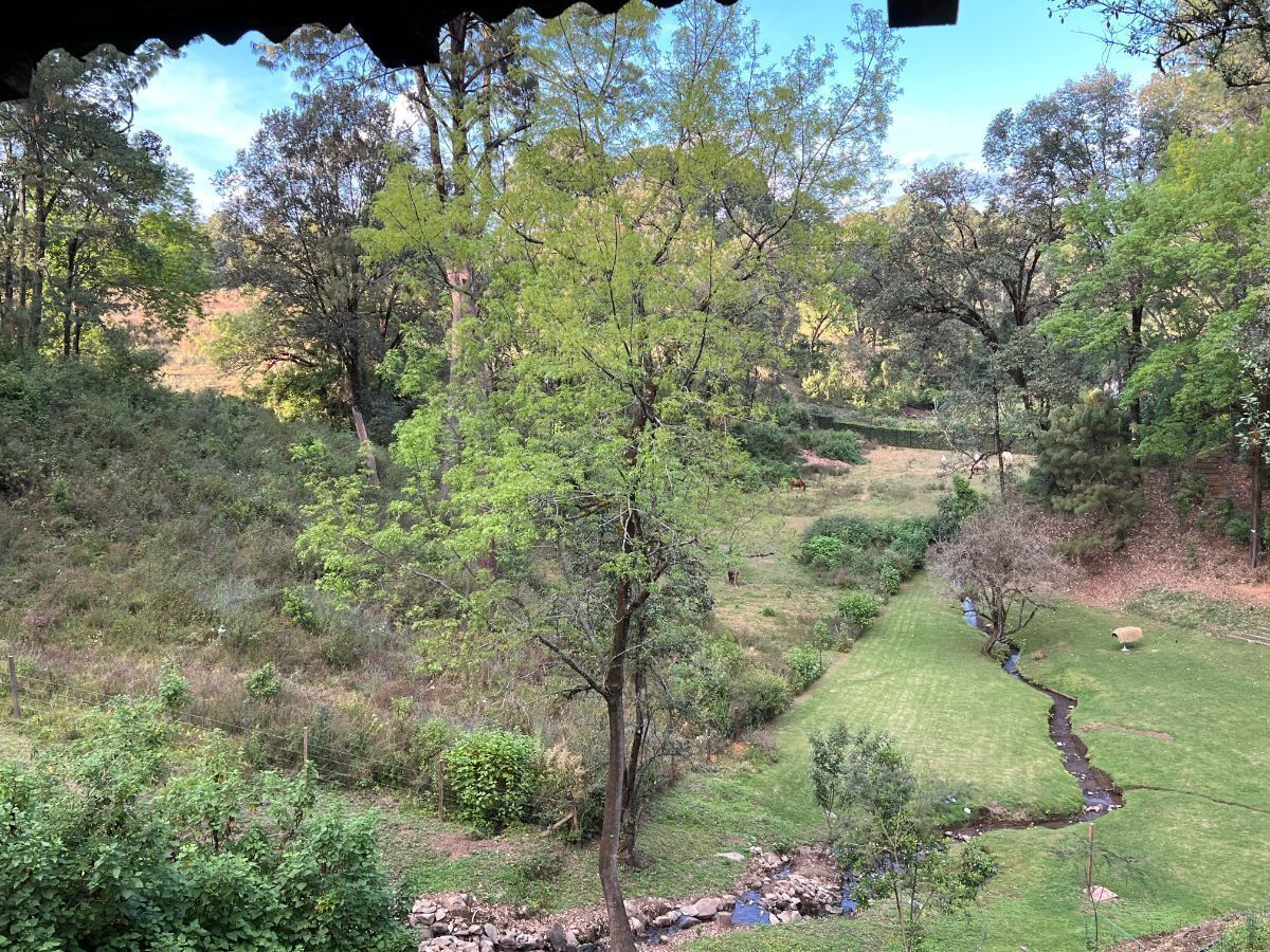 Terreno 6 ha Cerro Gordo