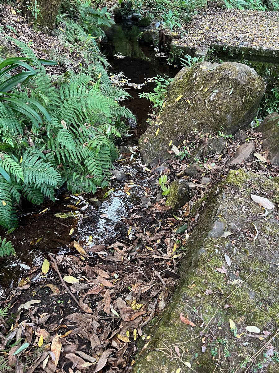 Terreno 6 ha Cerro Gordo