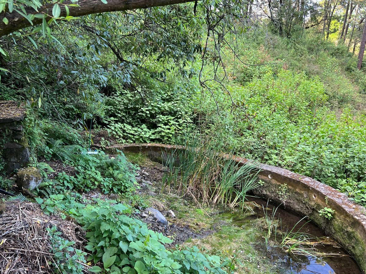 Terreno 6 ha Cerro Gordo