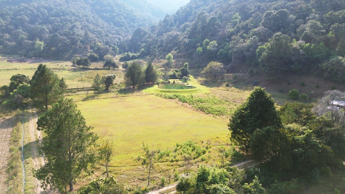 Terreno de 29 Hectáreas en San Juan Atezcapan
