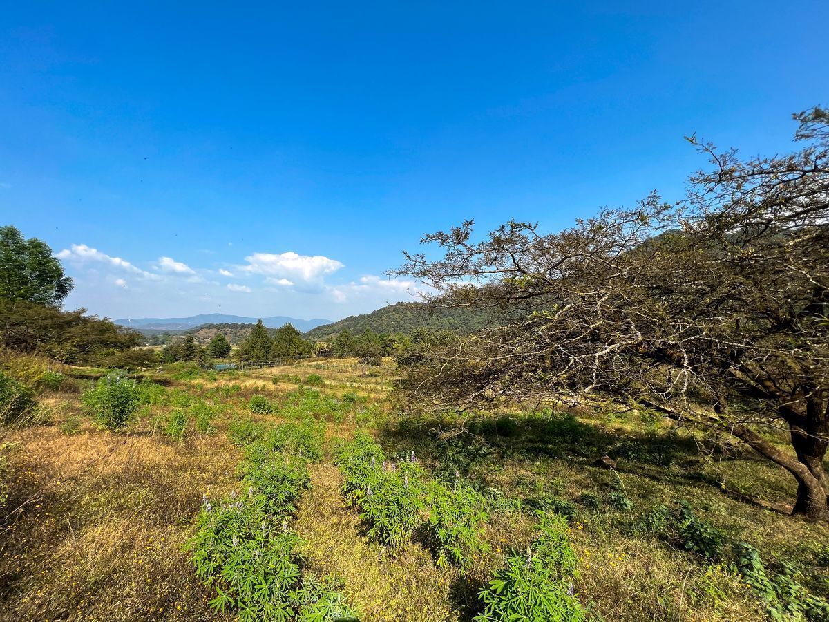 Terreno de 29 Hectáreas en San Juan Atezcapan