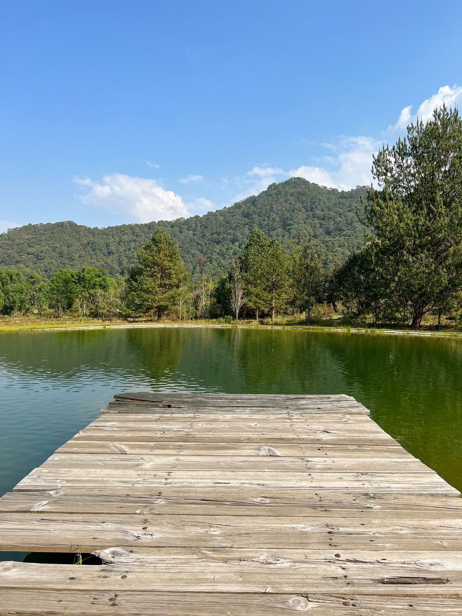Terreno de 29 Hectáreas en San Juan Atezcapan