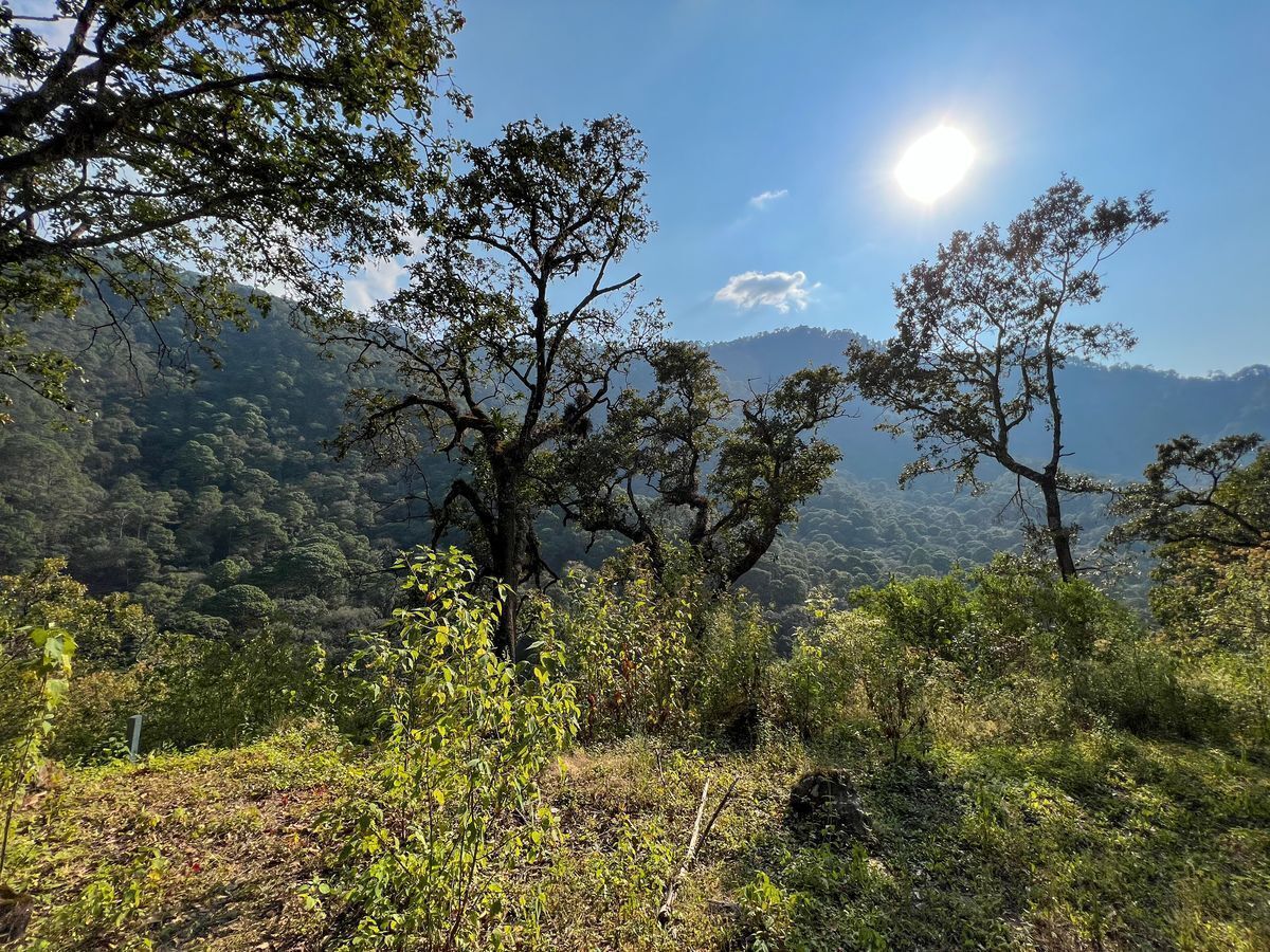 Terreno de 29 Hectáreas en San Juan Atezcapan