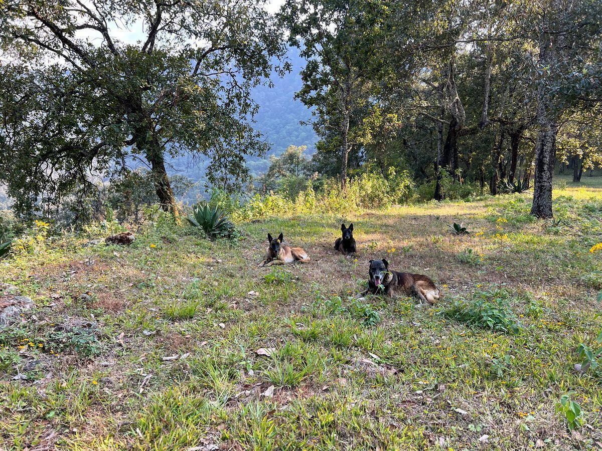 Terreno de 29 Hectáreas en San Juan Atezcapan