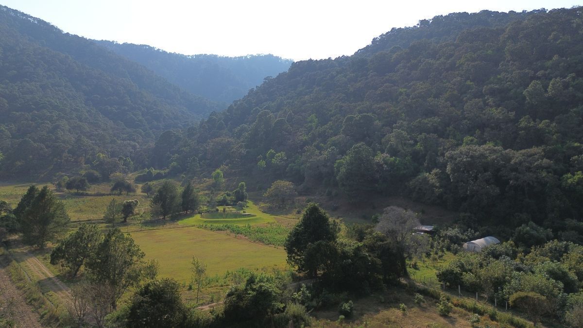 Terreno de 29 Hectáreas en San Juan Atezcapan