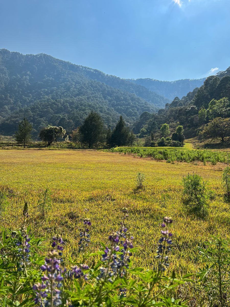 Terreno de 29 Hectáreas en San Juan Atezcapan