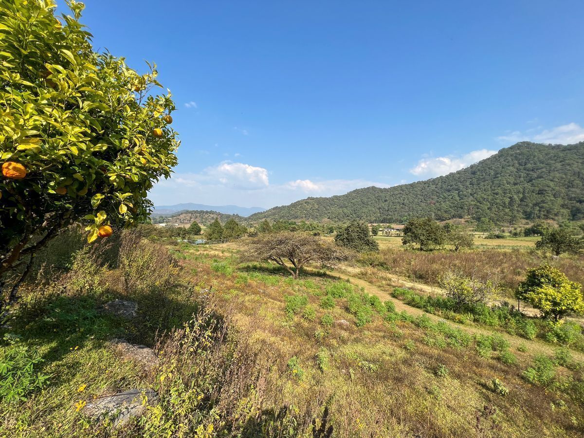 Terreno de 29 Hectáreas en San Juan Atezcapan
