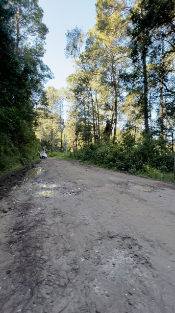 Terreno con Apantle en Cerro Gordo