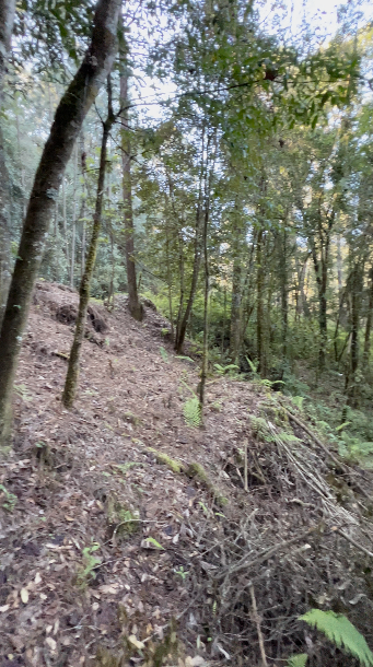 Terreno con Apantle en Cerro Gordo
