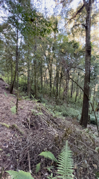 Terreno con Apantle en Cerro Gordo