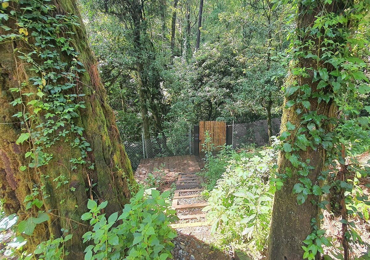 Casa las Luciernagas