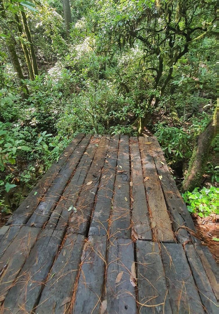 Casa las Luciernagas