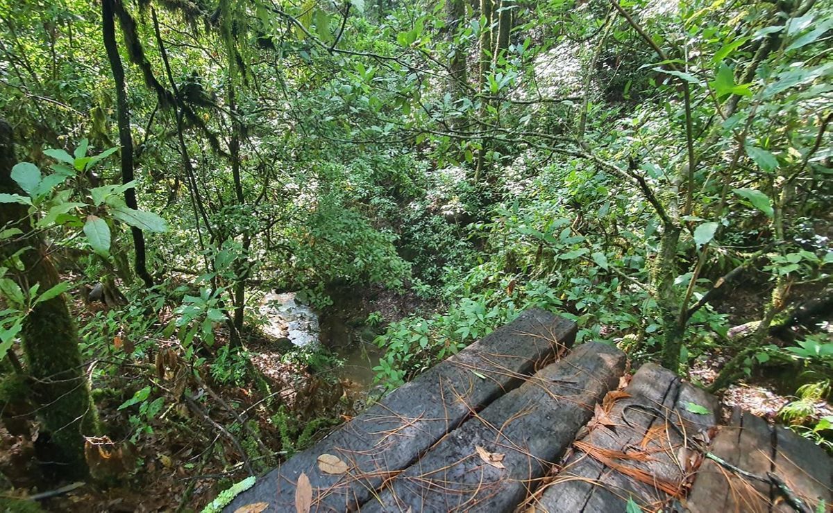 Casa las Luciernagas