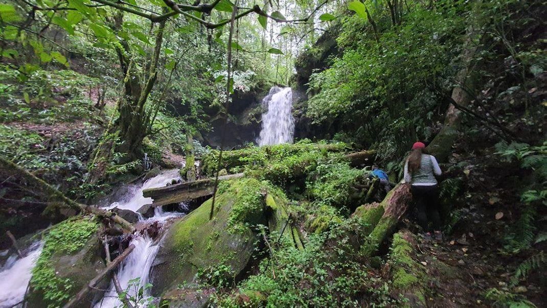 Casa las Luciernagas