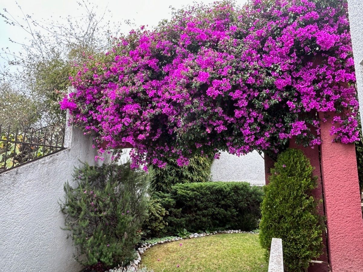 Casa en Venta en Paseo de las Lomas Santa Fe