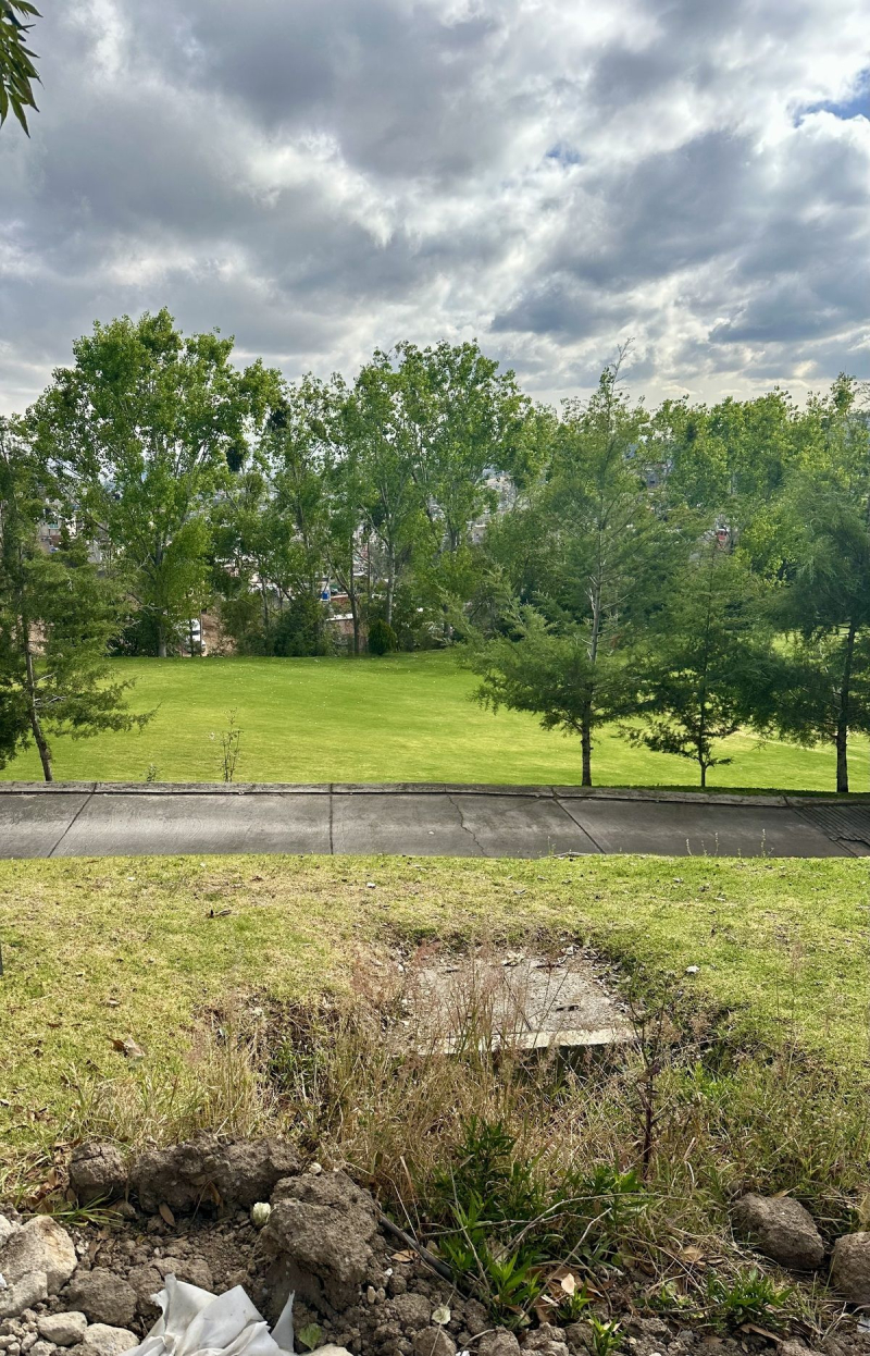 Terreno en Venta en Bosque Real