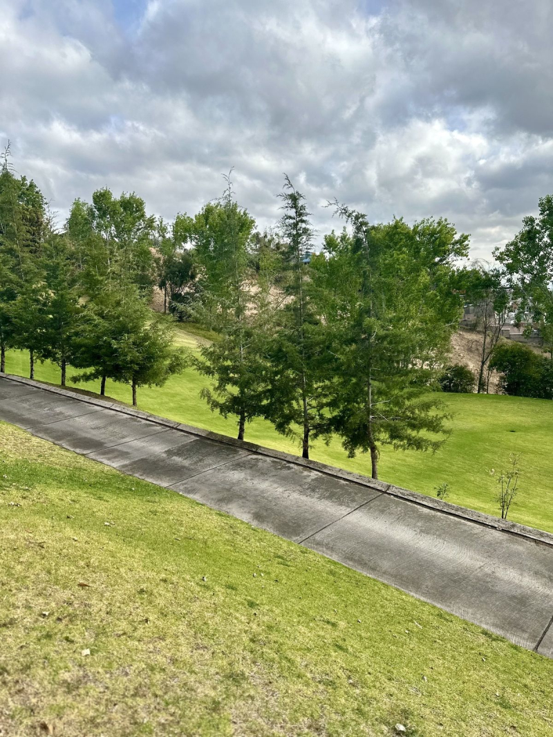 Terreno En Venta En Bosque Real