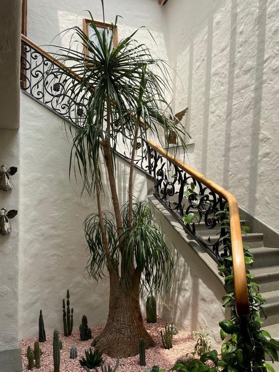 venta casa lomas de chapultepec