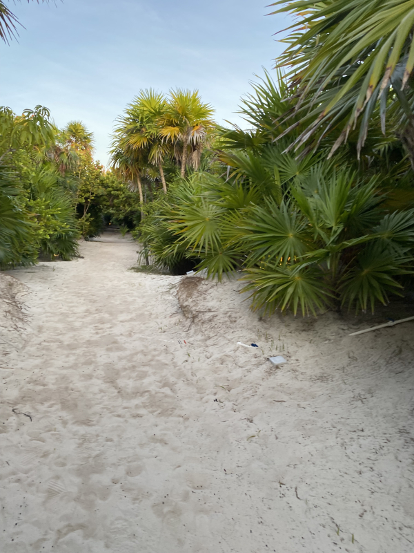 Edificio En Venta En Tulum. Hotel En Venta.