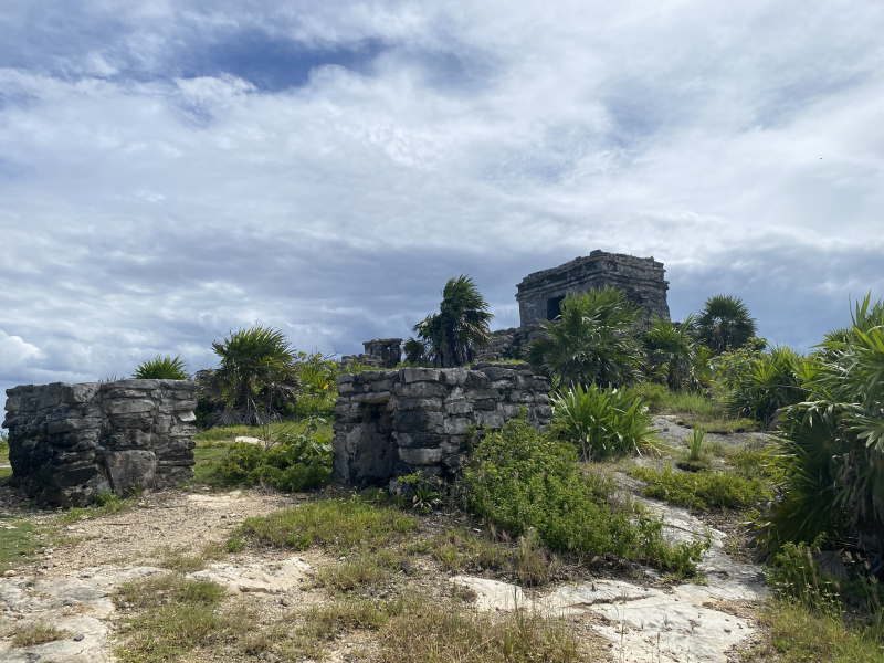 Edificio En Venta En Tulum. Hotel En Venta.