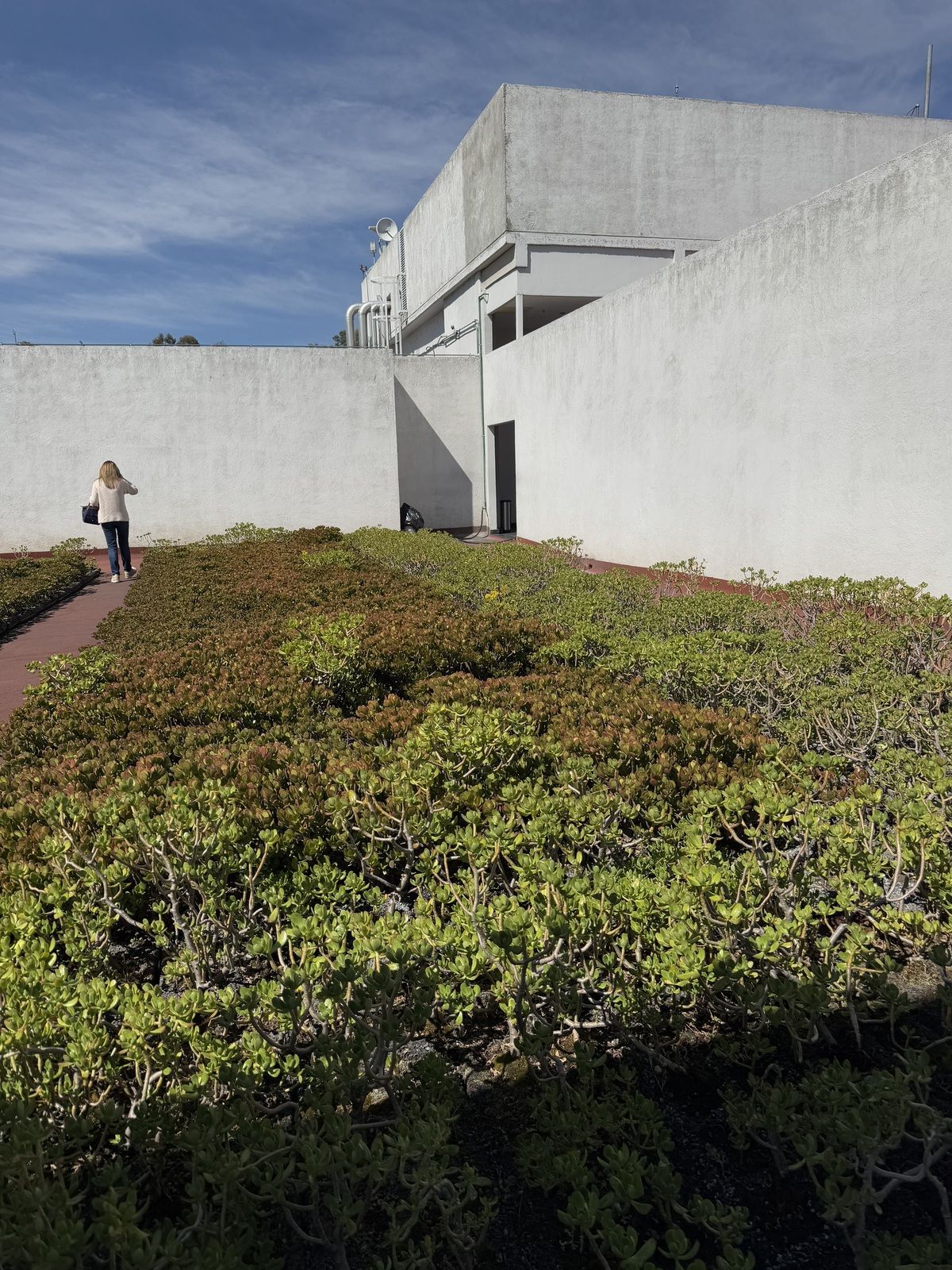 Buena oficina nueva en renta en Santa Fe