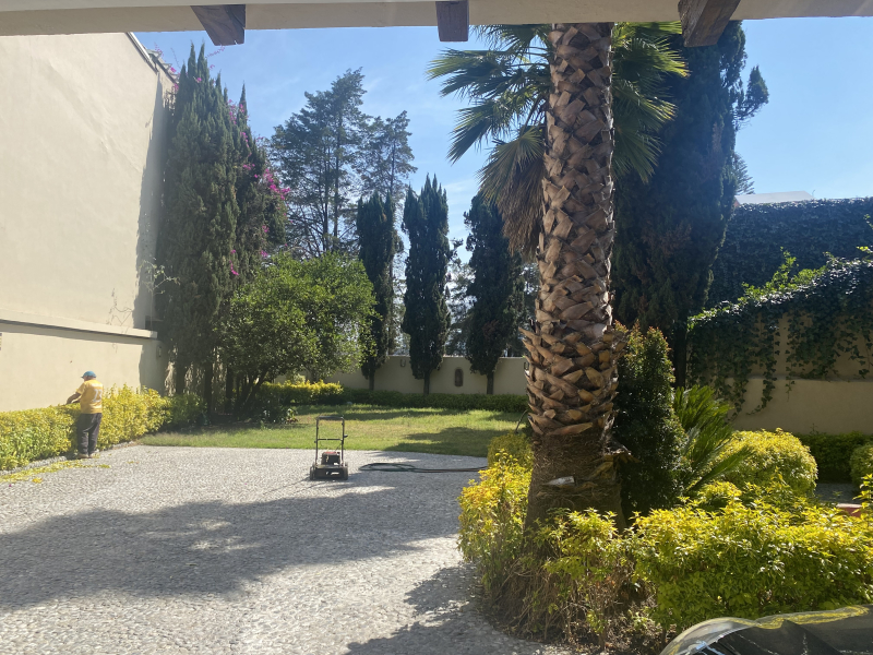 Casa En Renta En Lomas Anáhuac