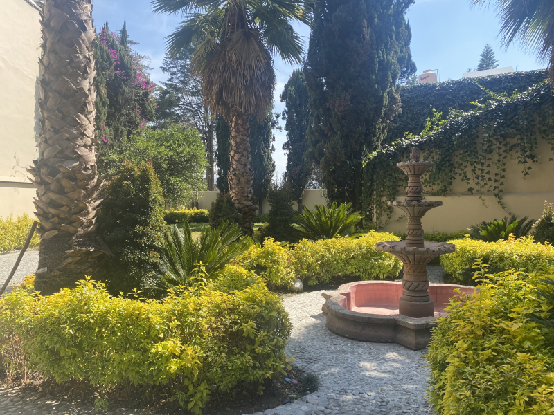 Casa En Renta En Lomas Anáhuac