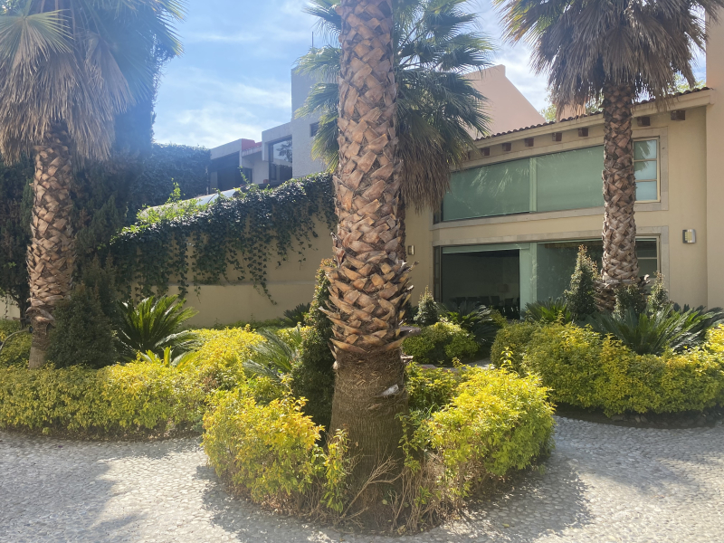 Casa En Renta En Lomas Anáhuac