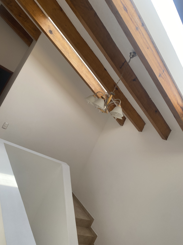 Casa En Renta En Lomas Anáhuac