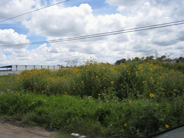 TERRENO  VENTA EN QUERÃ‰TARO, SOBRE CARRETERA