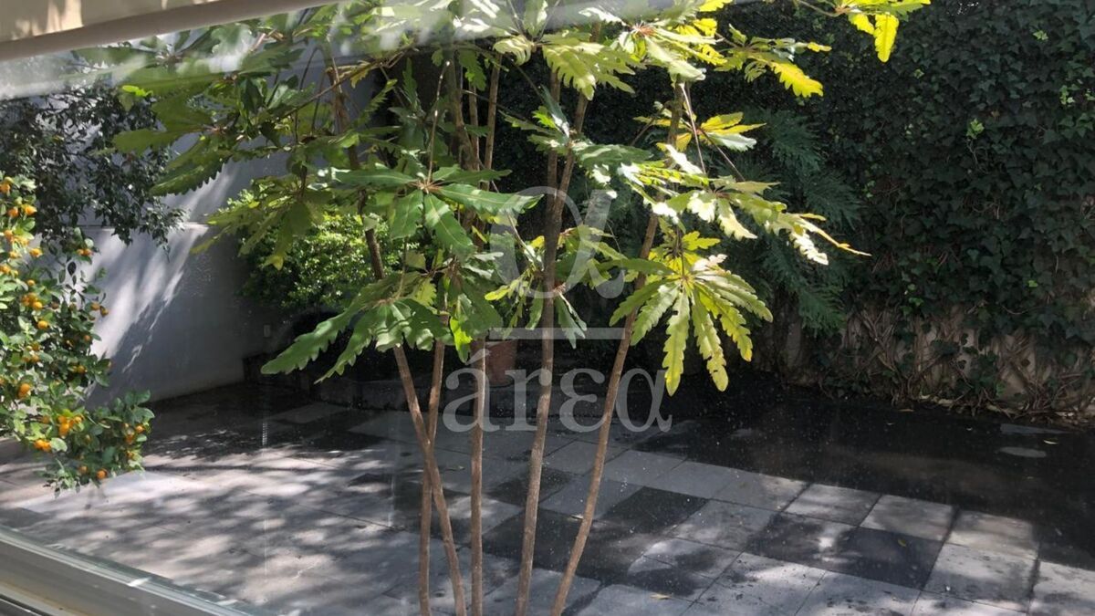 Casa en Renta en Lomas de Chapultepec