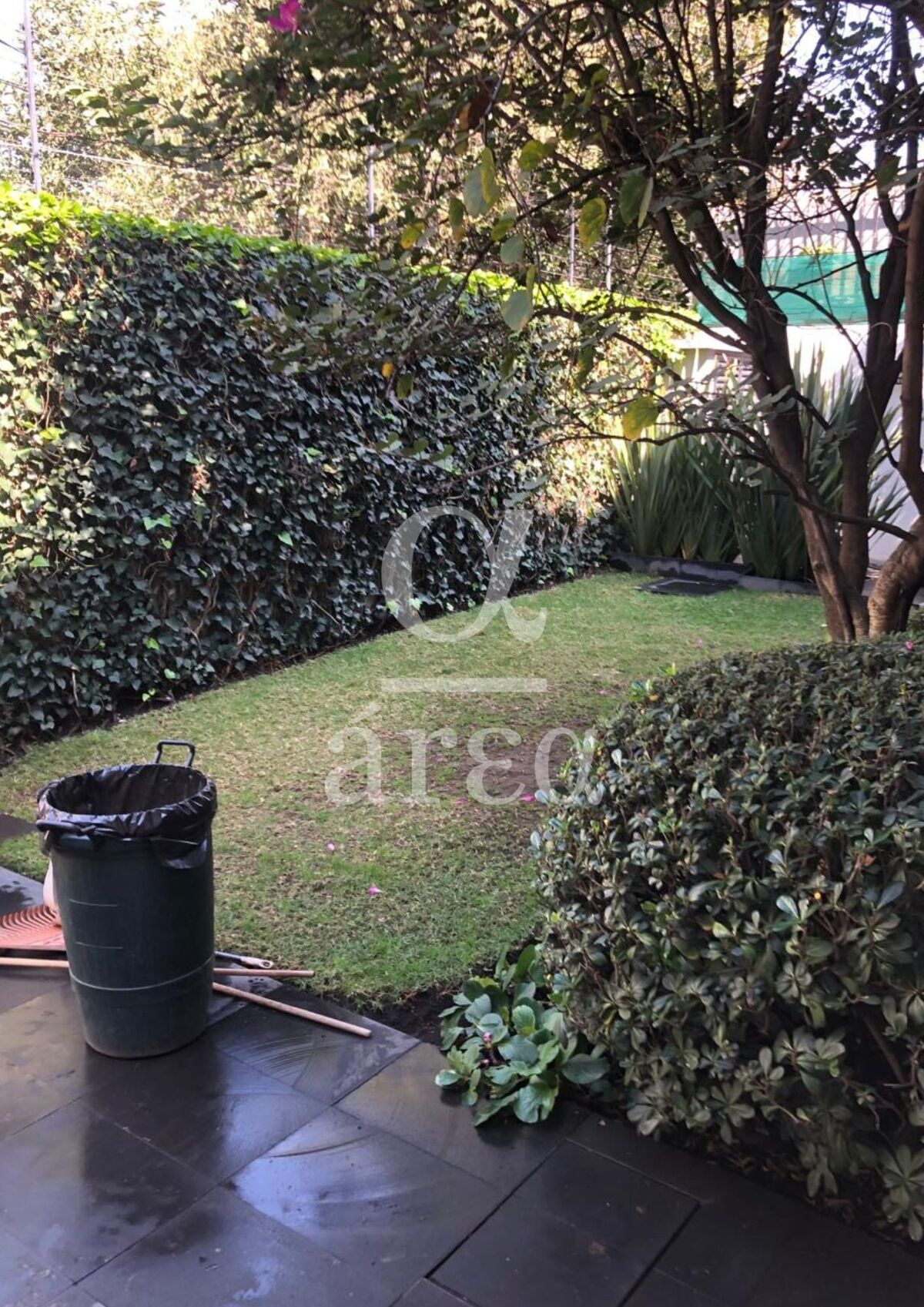 Casa en Renta en Lomas de Chapultepec