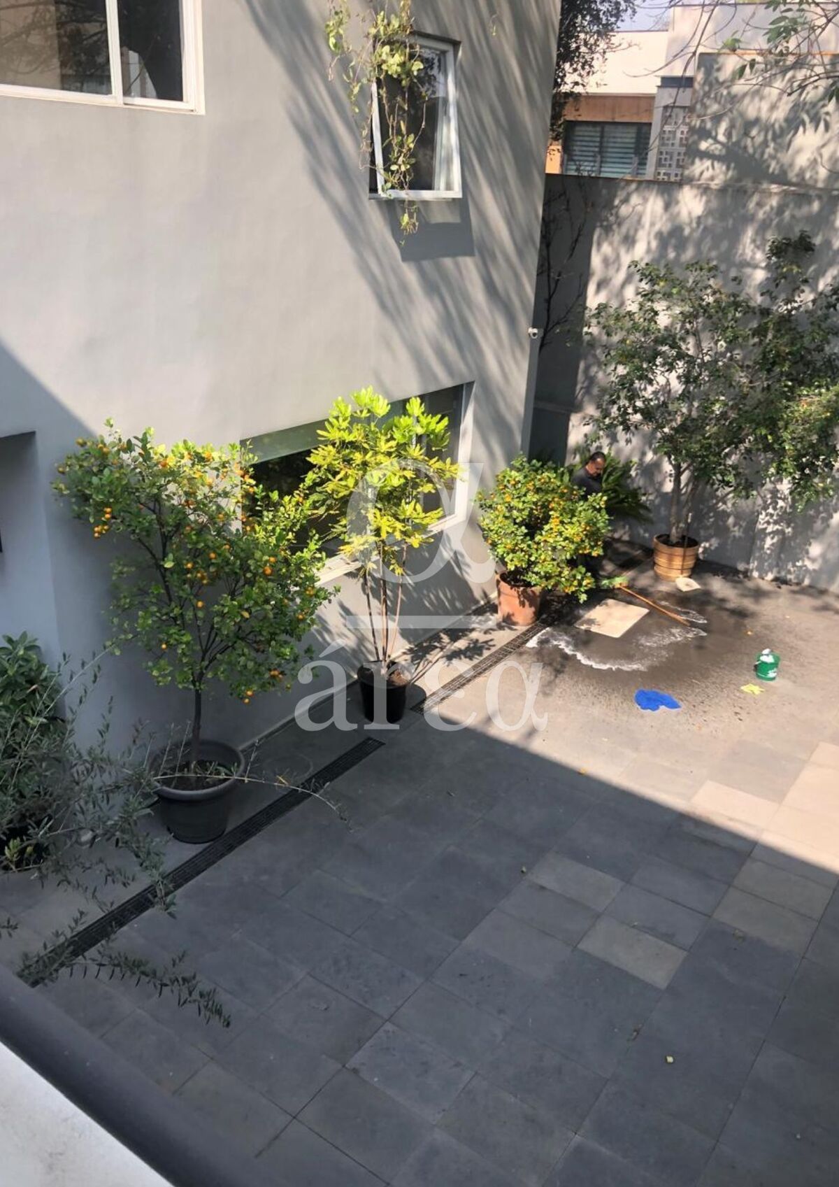 Casa en Renta en Lomas de Chapultepec