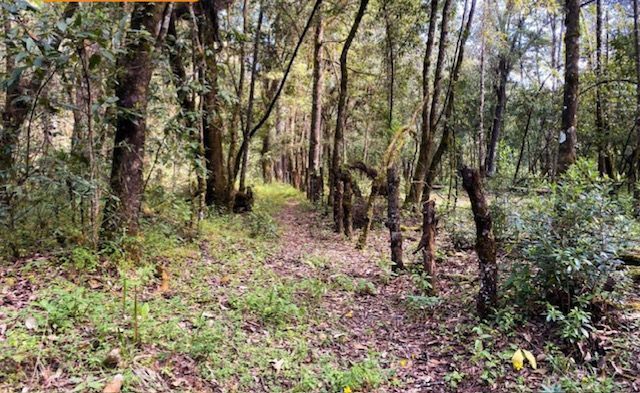 Terreno En Venta En Valle De Bravo