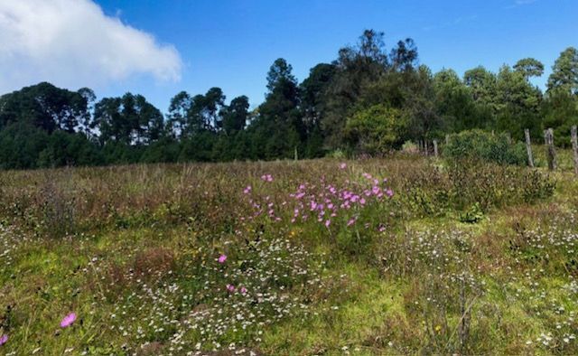 Terreno En Venta En Valle De Bravo