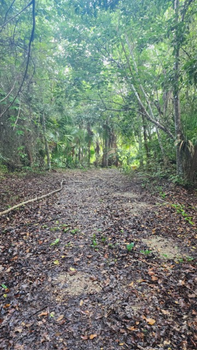Terreno En Venta En  Bacalar