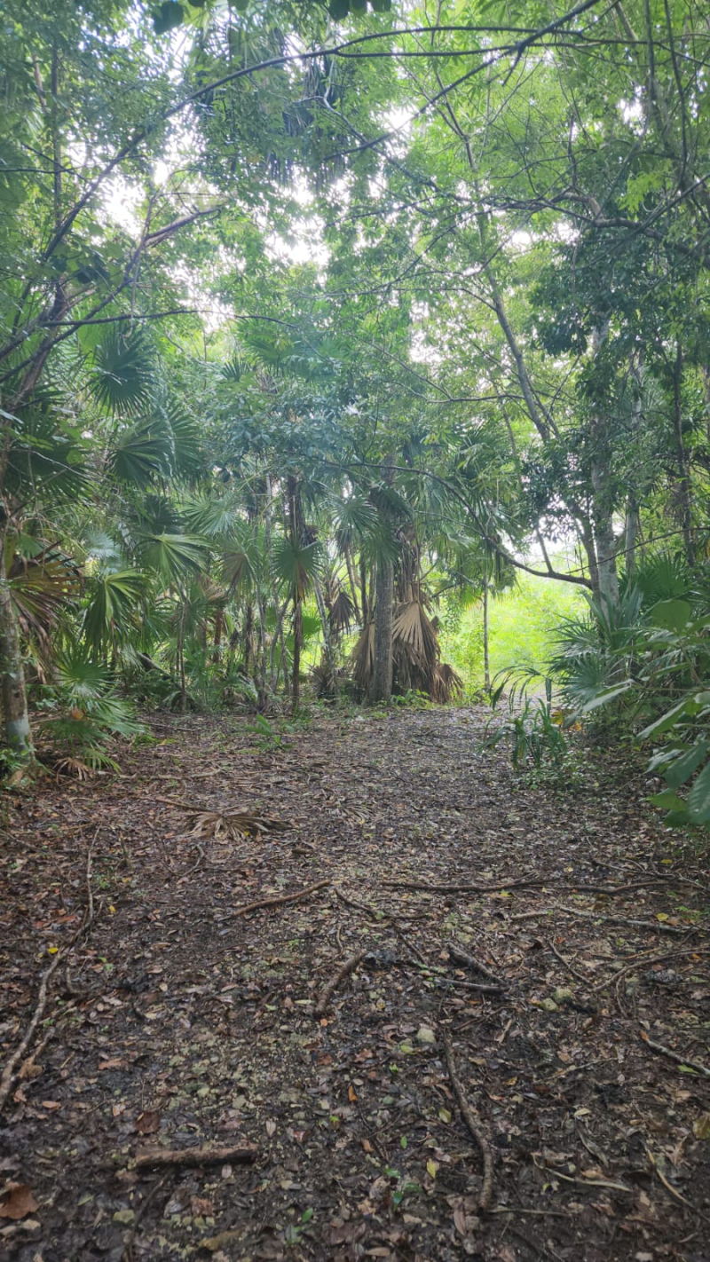 Terreno En Venta En  Bacalar