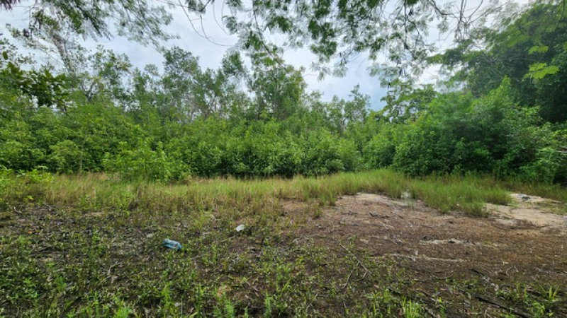 Terreno En Venta En  Bacalar