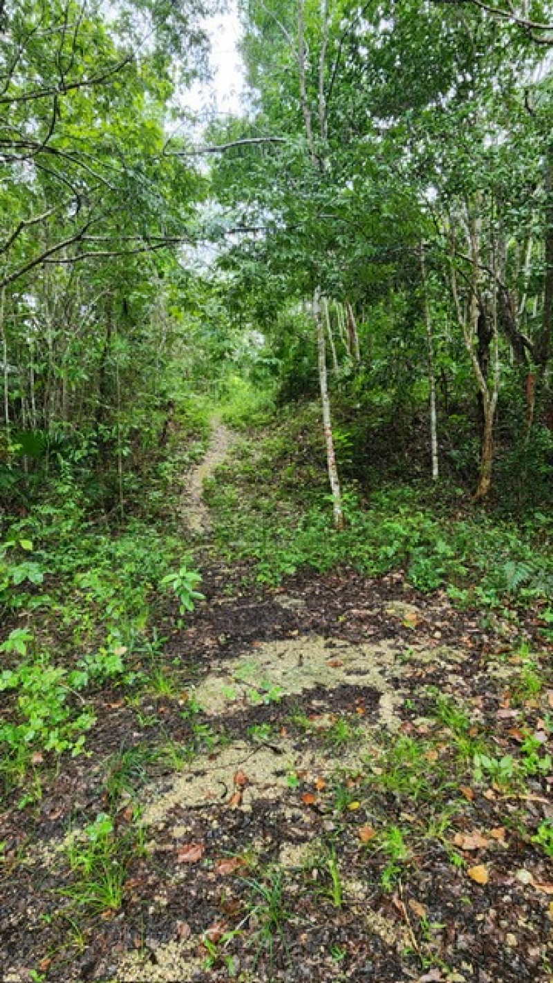 Terreno En Venta En  Bacalar