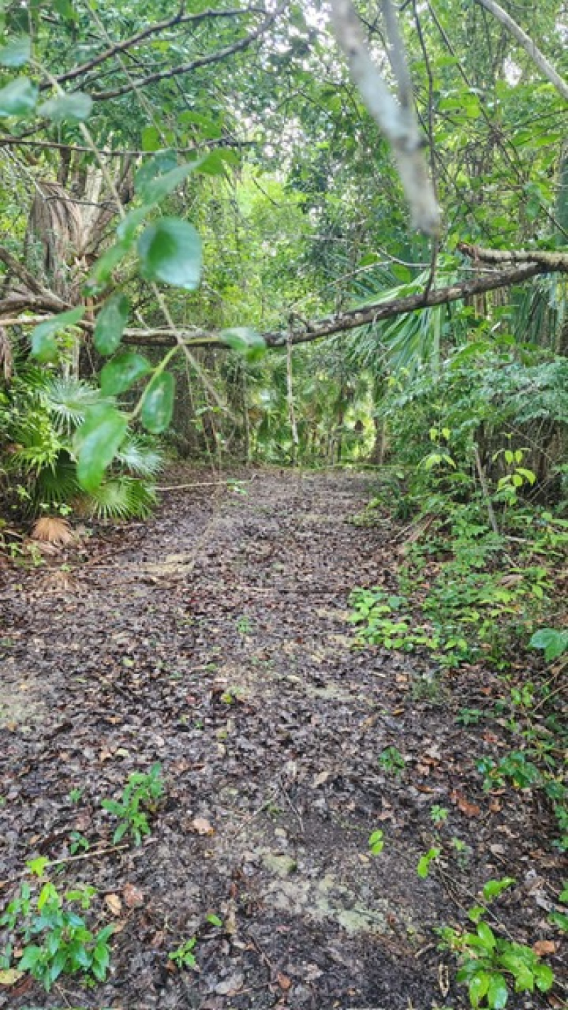 Terreno En Venta En  Bacalar