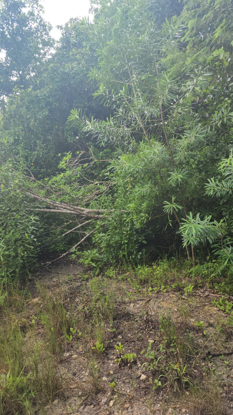 Terreno En Venta En  Bacalar