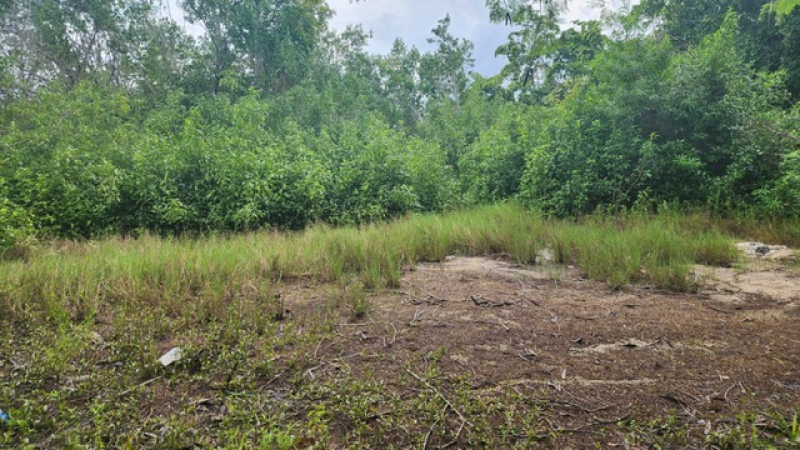 Terreno En Venta En  Bacalar